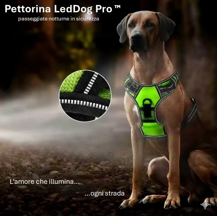 LedDog PRO™ Pettorina Led