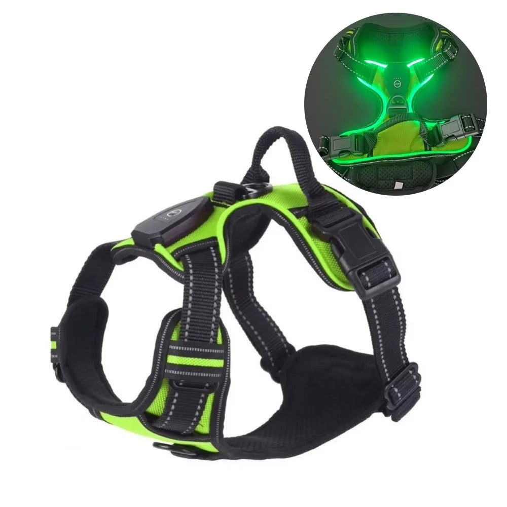 LedDog PRO™ Pettorina Led